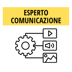 Esperto comunicazione