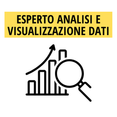 Esperto analisi e visualizzazione dati