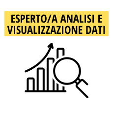 Esperto/a analisi e visualizzazione dati